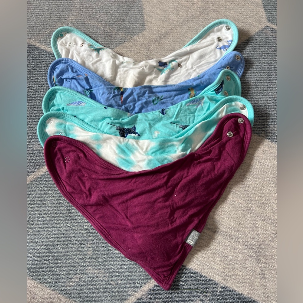 5 Kyte Baby Bibs